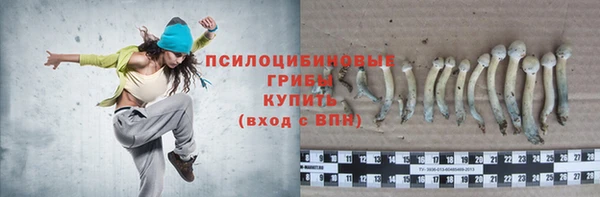 круглые Алексеевка