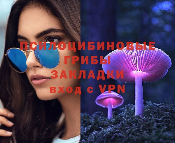 не бодяженный Алзамай