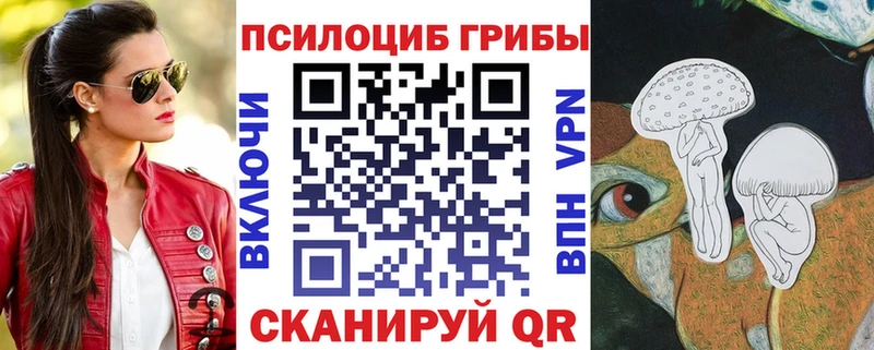Купить закладки  Слюдянка  Галлюциногенные грибы ЛСД 
