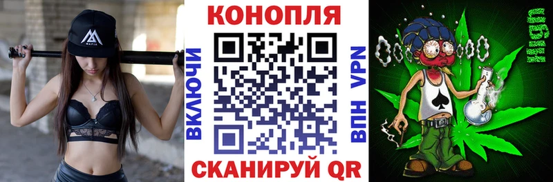 Купить где  Слюдянка  Марихуана планчик 